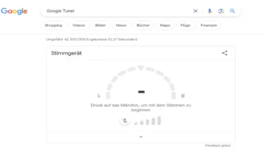 Google Stimmgerät